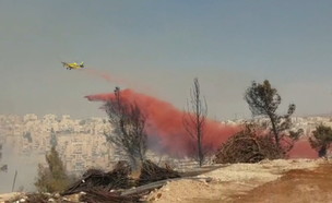שרפה בכפר האורנים (צילום: דוברות המשטרה)