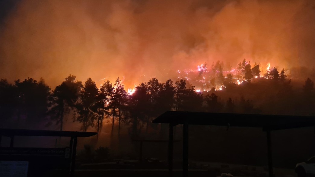 השרפות בצפון הארץ