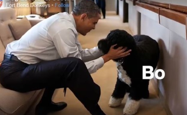 ברק אובמה והכלב בו (צילום: facebook)