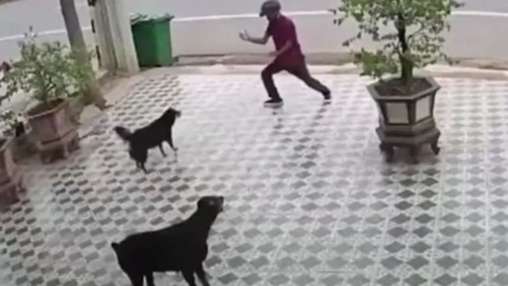 הו צ'י מין סיטי הו צ'י מין סיטי