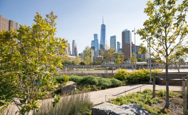 Hudson River Park Trust  (צילום: Hudson River Park Trust )