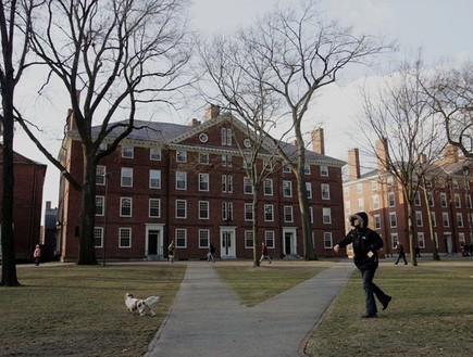 אוניברסיטת הרווארד (צילום: Joe Raedle, GettyImages IL)