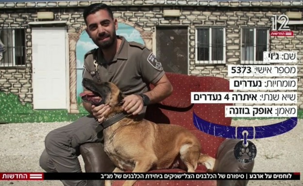 הכלבה היחידה במחוז ירושלים למציאת נעדרים. הכלבה ג'וי (צילום: חדשות)