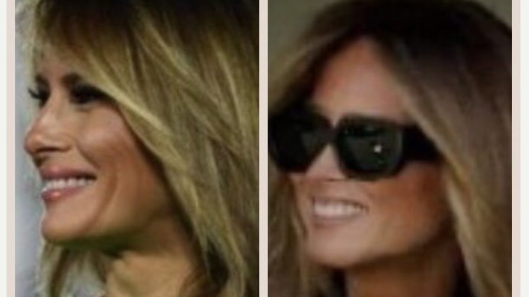 מלאניה "המזויפת" מימין, מלאניה "האמיתית" משמאל מלאניה "המזויפת" מימין, מלאניה "האמיתית" משמאל