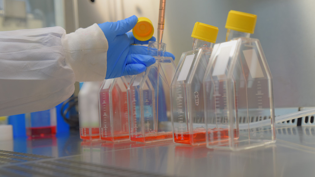 החיסון של המכון הביולוגי החיסון של המכון הביולוגי