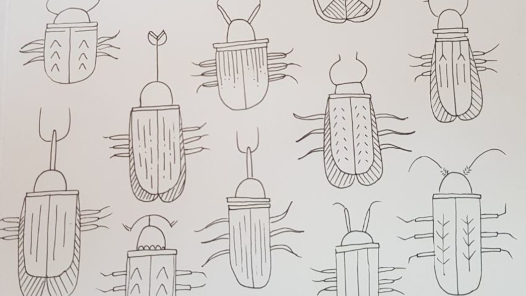 פרויקט הגלויה הסודית פרויקט הגלויה הסודית