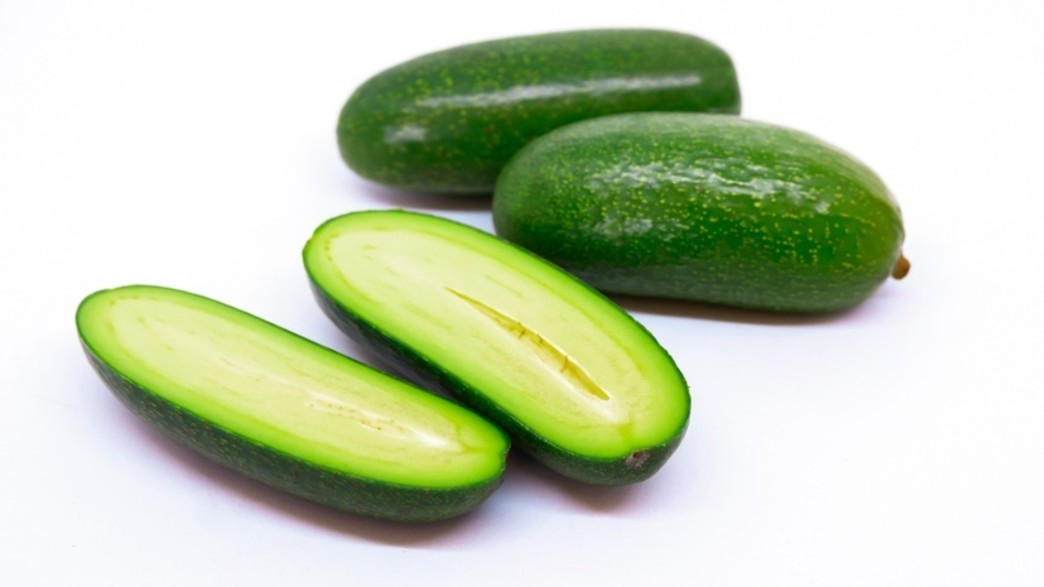 אבוקדו בלי גלעין