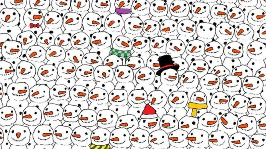 חידת הפנדה חידת הפנדה