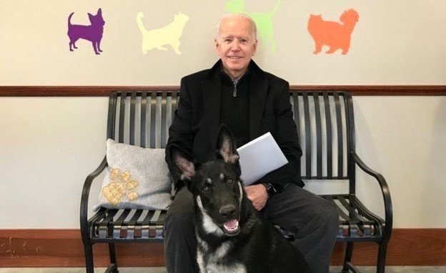 ג'ו ביידן וכלבו (צילום: הטוויטר של ג'ו ביידן)