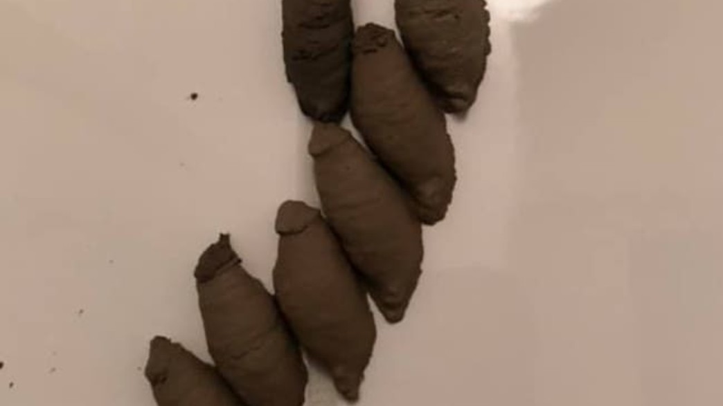 צרעות באמבטיה