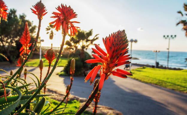 פארק העצמאות