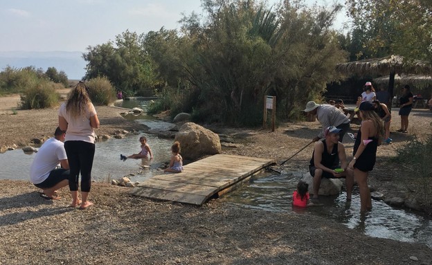 עיינות צוקים (צילום: ערן קרוזל, רשות הטבע והגנים)