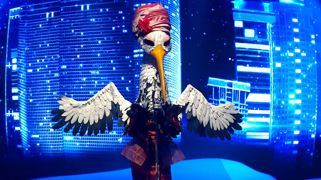 החסידה – "תל אביב בלילה" החסידה – "תל אביב בלילה"