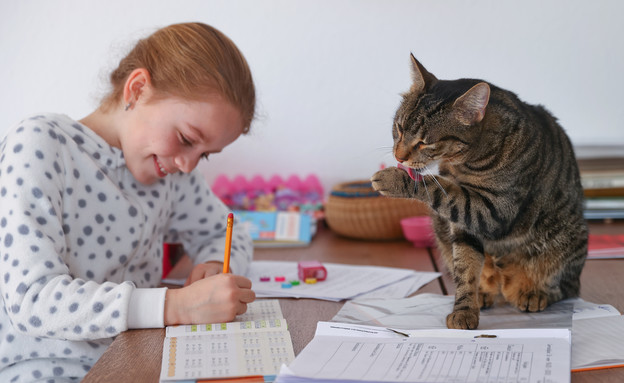 ילדה מכינה שיעורים לצד חתול (צילום: רויטרס)