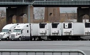 גופות של קורבנות קורונה מאוחסנות במשאיות בניו יורק (צילום: רויטרס)
