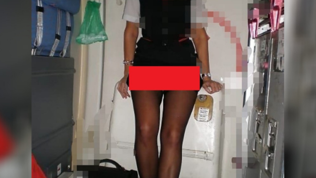 דיילת71 דיילת71