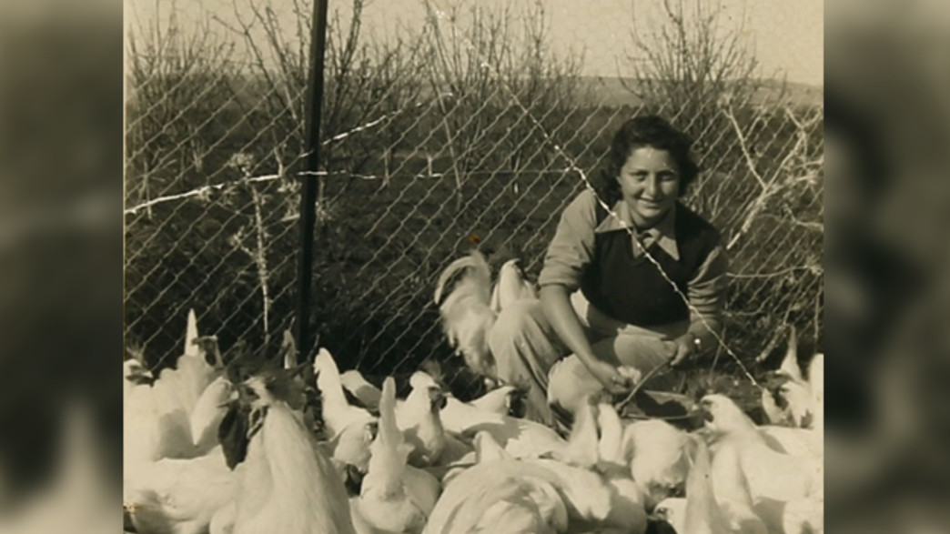 יומנים, שירים, תמונות ומילותיה האחרונות של חנה סנש יומנים, שירים, תמונות ומילותיה האחרונות של חנה סנש