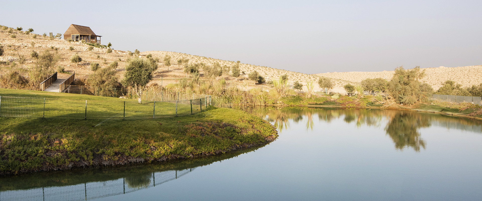 חוות מעיין הנעורים (צילום: אביעד בר נס)