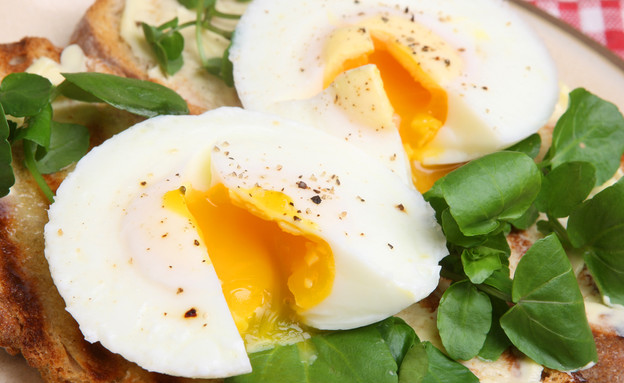 ביצים עלומות (צילום: Joe Gough, Shutterstock)