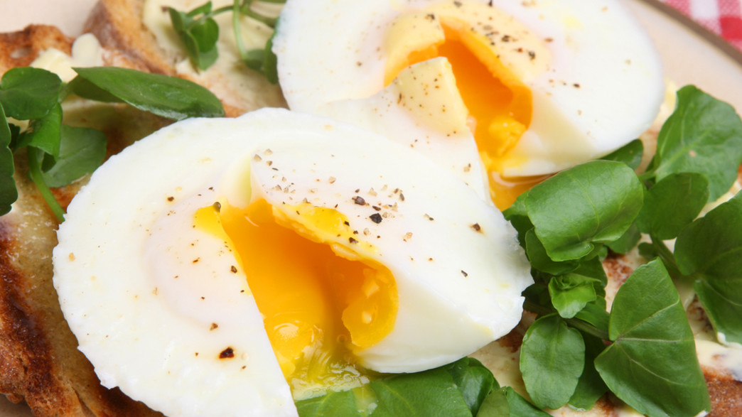 ביצים עלומות (צילום: Joe Gough, Shutterstock)