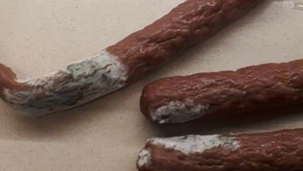 קבנוס עם עובש קבנוס עם עובש