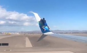 אדם עלה על כנף המטוס (צילום: יוטיוב)