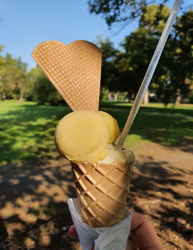 גלידת גלילטו - טעמים פיסטוק ומנגו (צילום: שירה סגל בורוכוב)