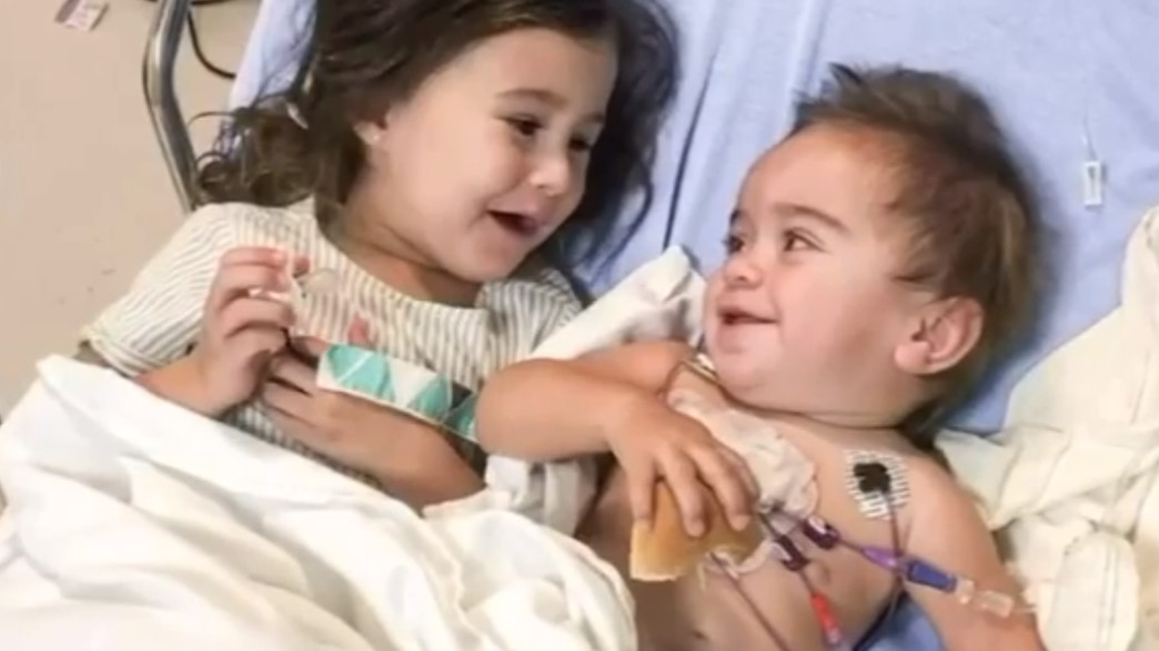 פעוטה תרמה מח עצם לאחיה התינוק פעוטה תרמה מח עצם לאחיה התינוק