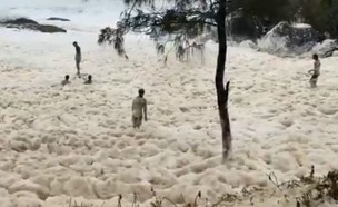 חוף באוסטרליה התמלא בשכבת קצף (צילום: twitter)