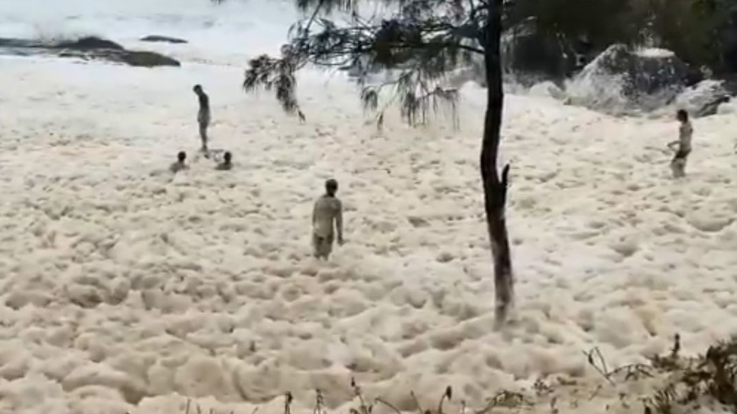 חוף באוסטרליה התמלא בשכבת קצף (צילום: twitter)