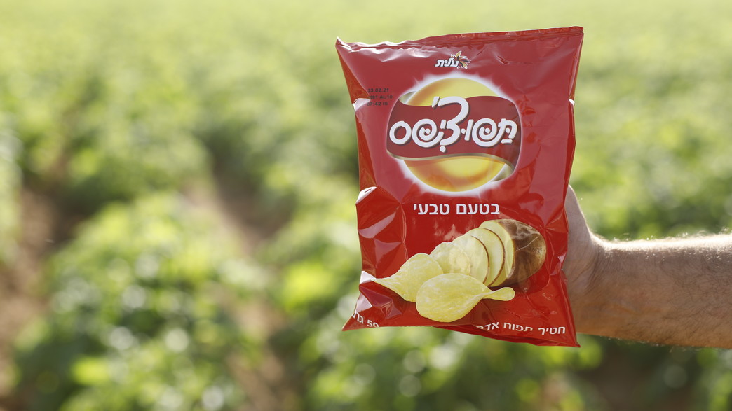 תפוציפס בשדה תפוציפס בשדה