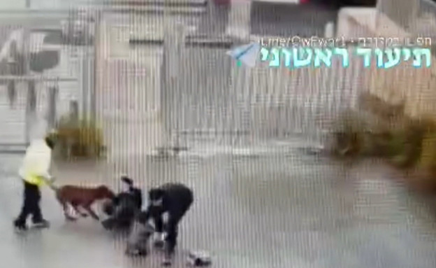 אב הילדה שננשכה משחזר את היום הטראומטי
