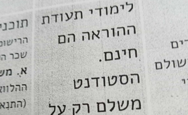 הסטודנטים התנדבו 80 שעות – אבל הכסף מהמלגה לא הגיע (צילום: מתוך העלון הפרסומי שמקדם את התכנית)