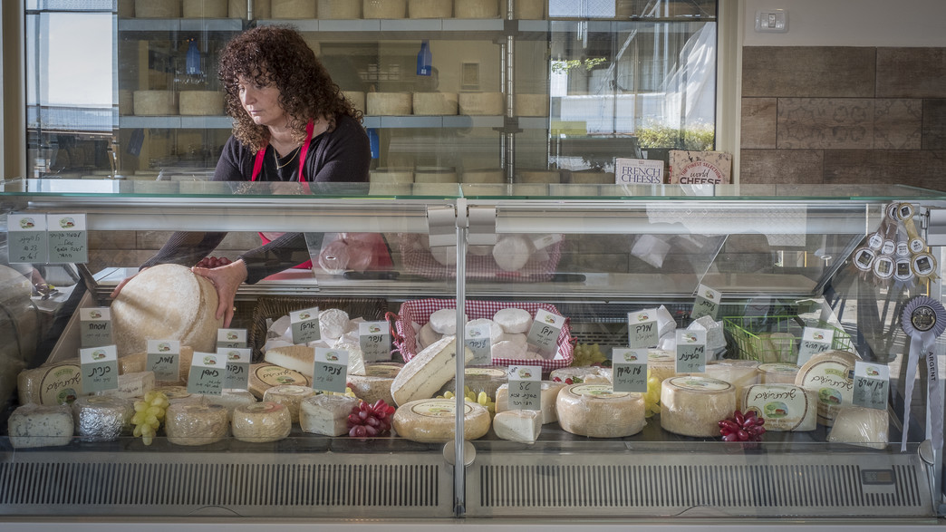 מחלבת שירת רועים מחלבת שירת רועים