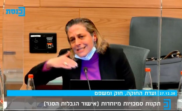 ד"ר שרון אלרעי פרייס  (צילום: ערוץ הכנסת)