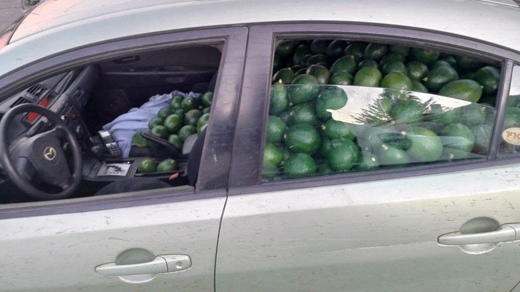 רכבו של החשוד שנעצר בחשד שגנב מאות ק"ג אבוקדו