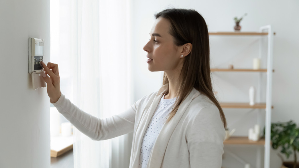 טיימר דוד טיימר דוד