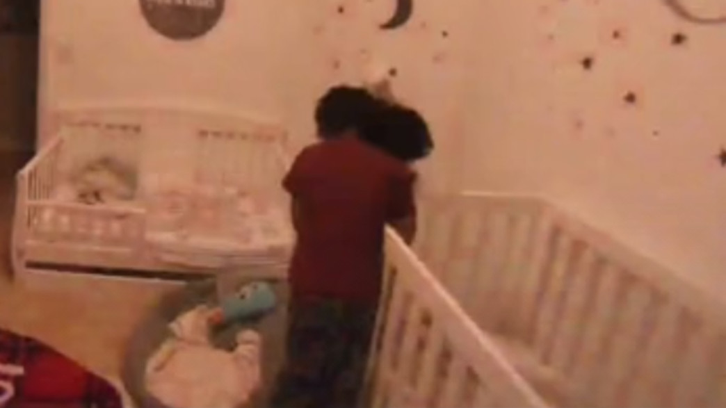 האח הגדול ששבר את הרשת 