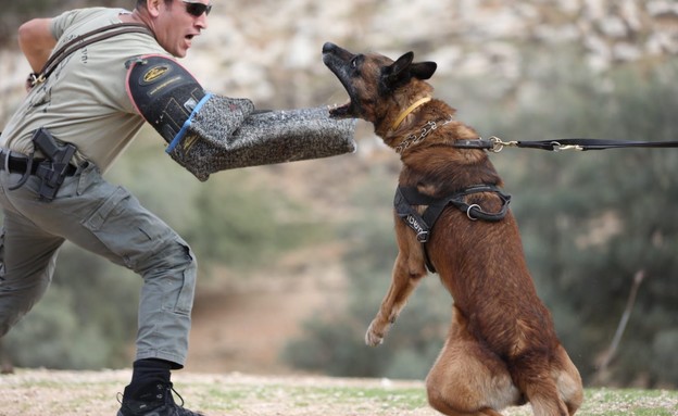 היחידה בפעולה (צילום: דוברות מג"ב, משטרת ישראל)