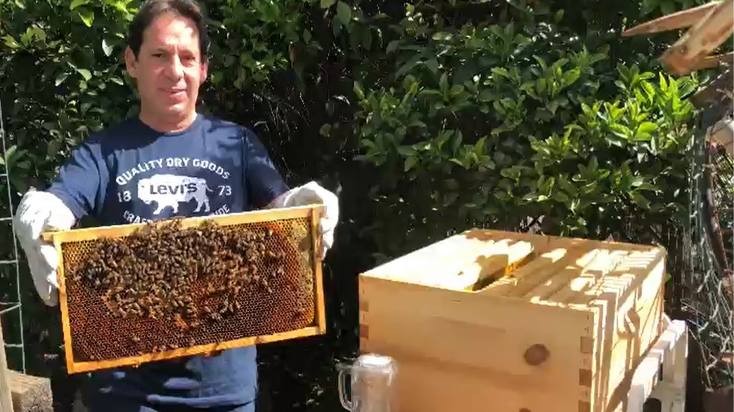 בזכות הקורונה: הפכו את התחביב למקצוע