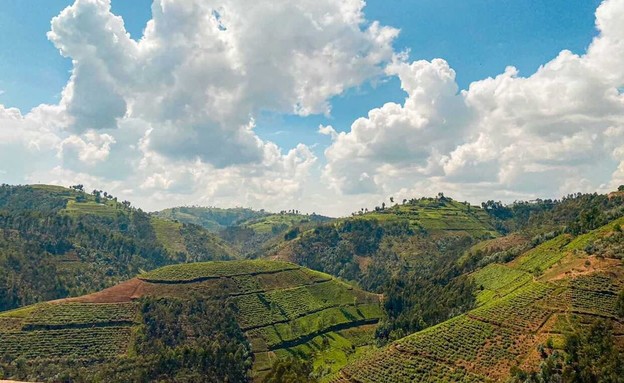 רואנדה (צילום: ליאת כהן רביב)