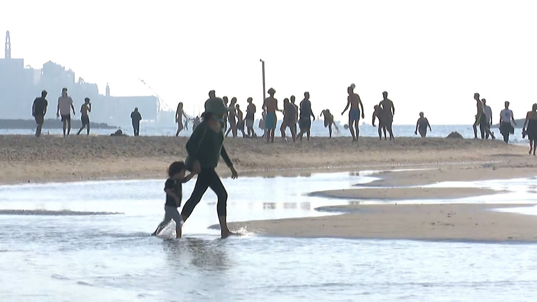 קיץ בינואר קיץ בינואר