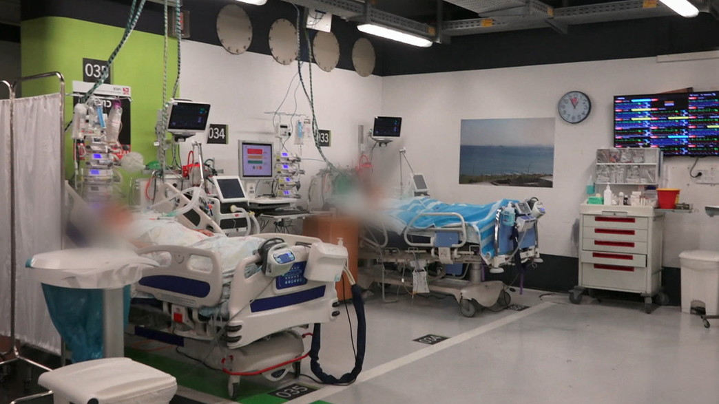 הקורונה ברמב"ם