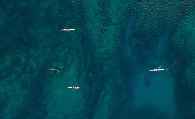 חותרים בים (צילום: רוני קיפרמן )