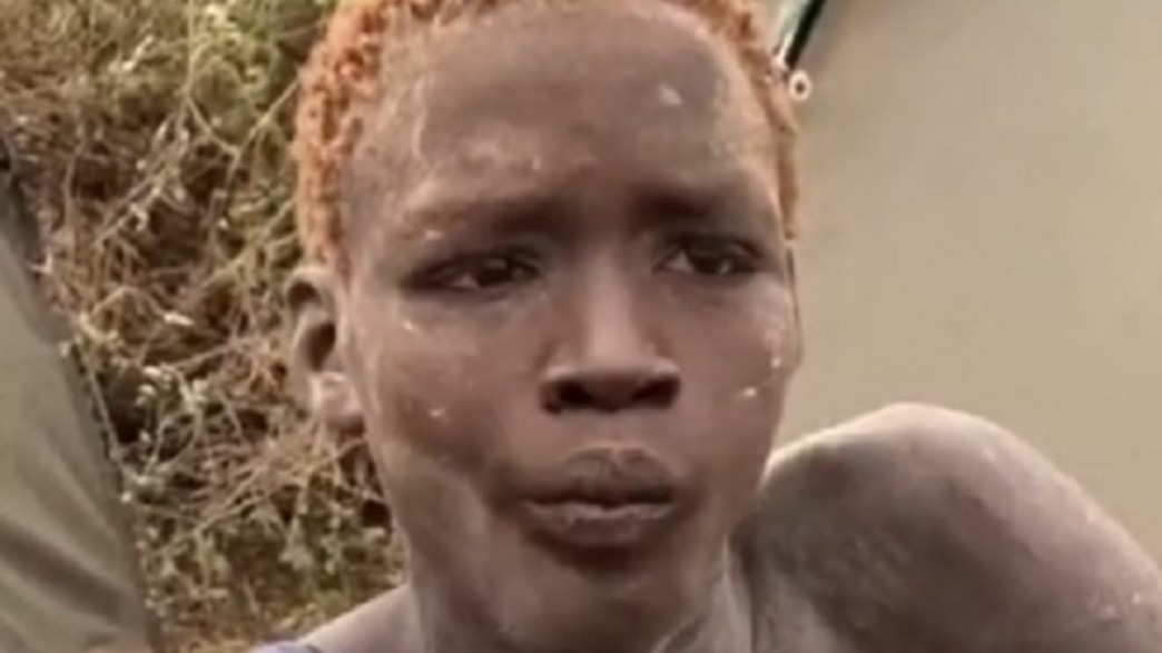 טועם שוקולד טועם שוקולד