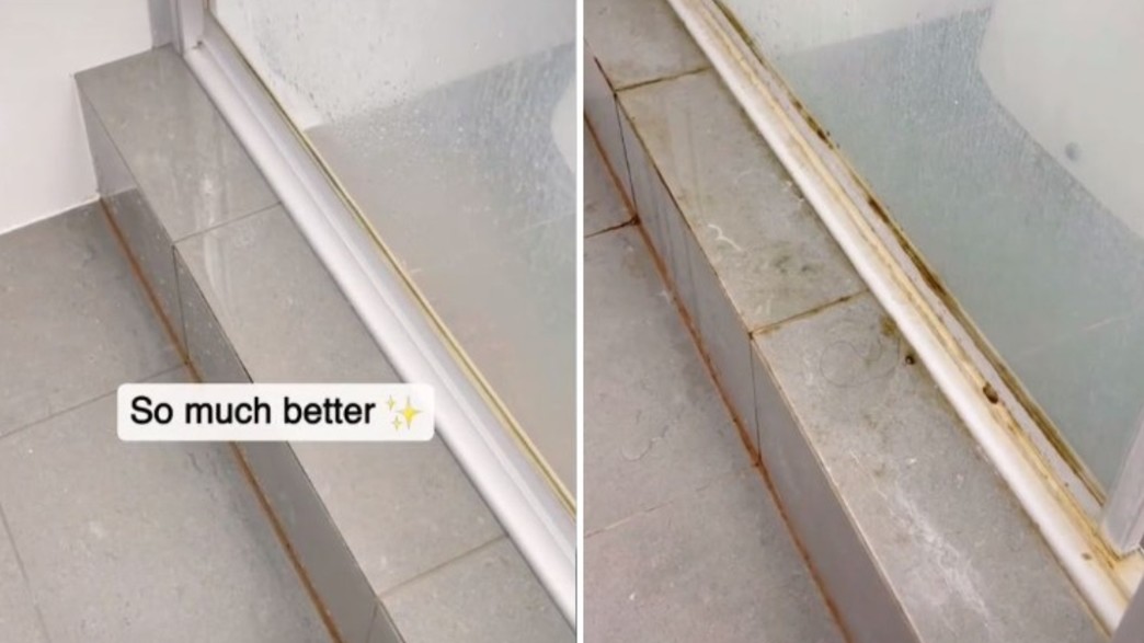 carolina.mccauley carolina.mccauley