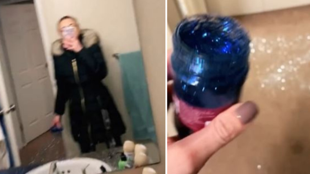 הולי ניקול הולי ניקול