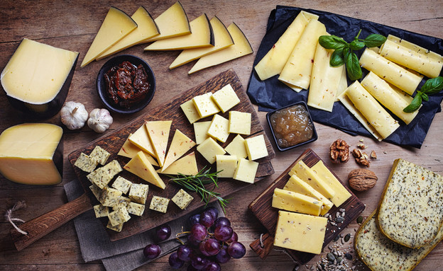 גבינות (צילום: shutterstock De baibaz)