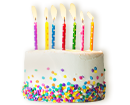 11- עוגת יום הולדת (צילום: shutterstock By Ruth Black)