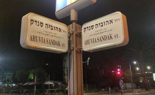 השחתת שלטים בתל אביב לזכר אהוביה סנדק (צילום: משטרת ישראל)